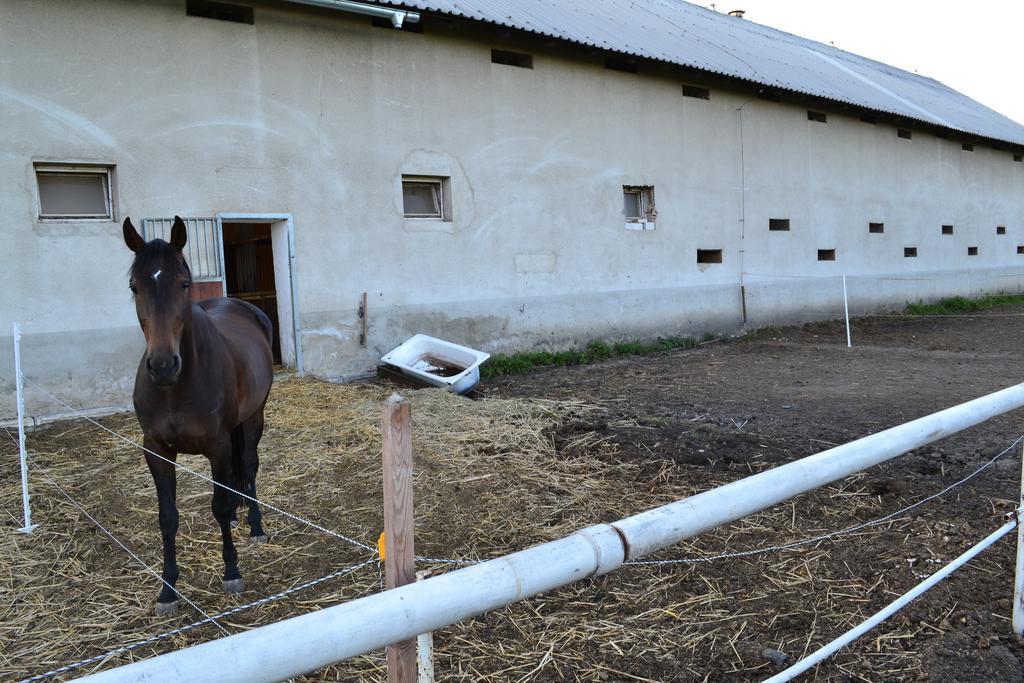 Penzion Eqilon Hotel Melnik Luaran gambar